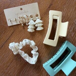 Influence hair clips and scrunchie
